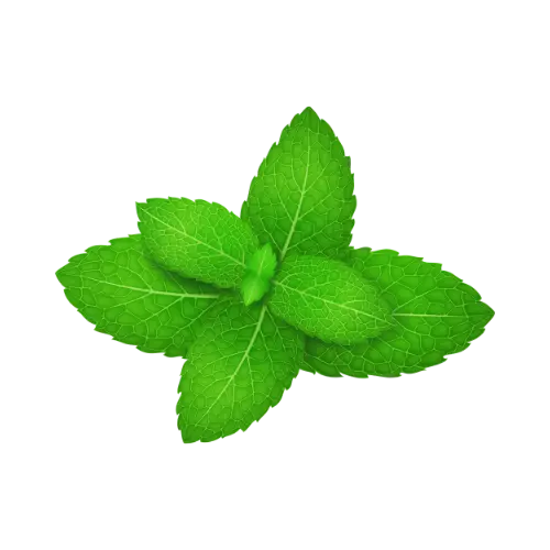 🎁🌬️ ENTDECKUNGS-PACK 9 Atemzüge (27 Nachfüllungen) – 9 AROMEN FÜR EINEN NEUEN ATEMZUG MY-PIPO