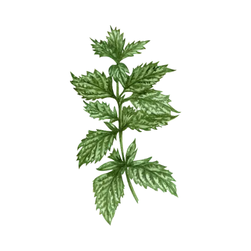 🎁🌬️ ENTDECKUNGS-PACK 9 Atemzüge (27 Nachfüllungen) – 9 AROMEN FÜR EINEN NEUEN ATEMZUG MY-PIPO